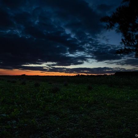 Pannonia Terranova Otel Vardarac Dış mekan fotoğraf