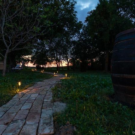 Pannonia Terranova Otel Vardarac Dış mekan fotoğraf