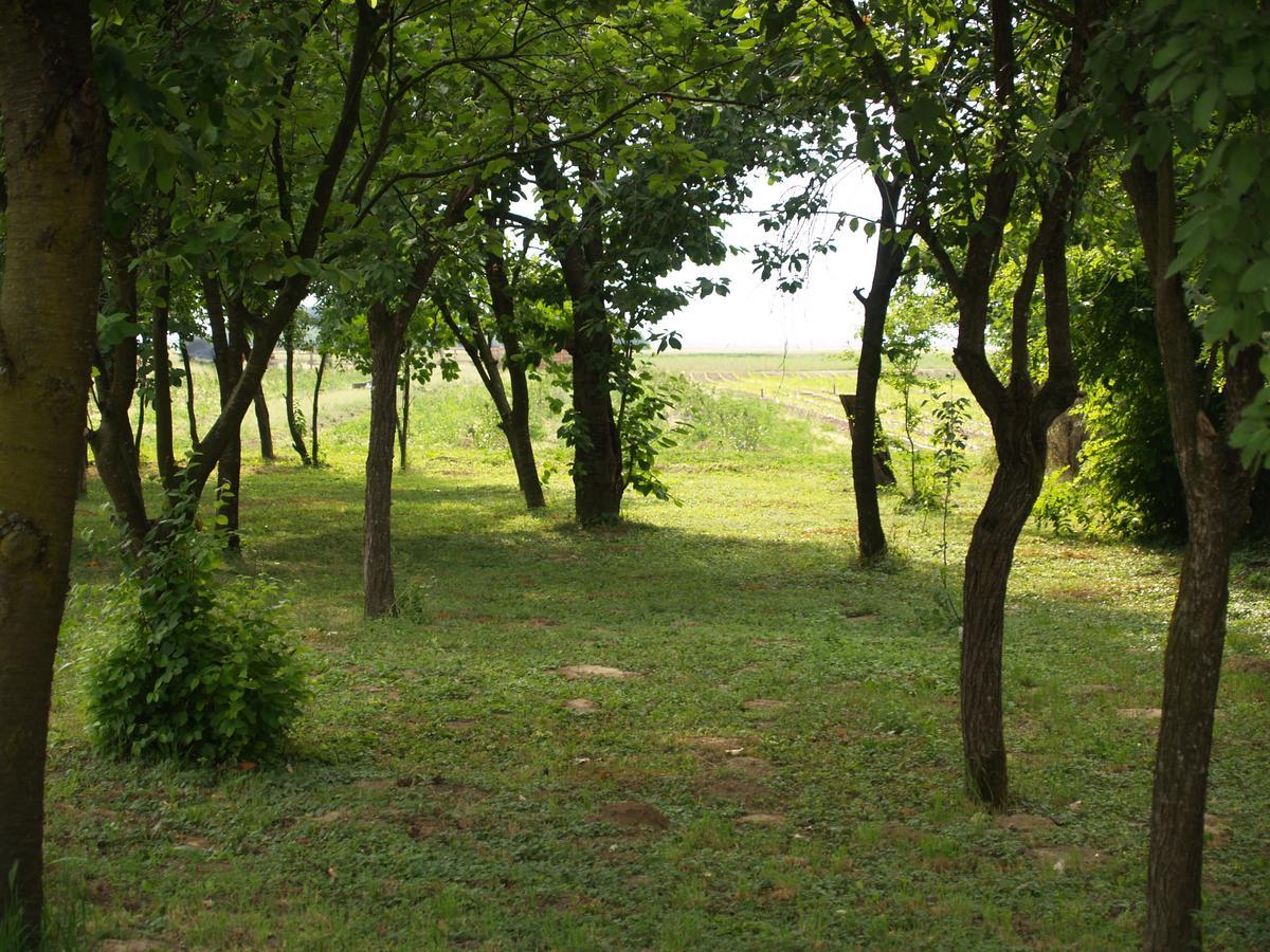 Pannonia Terranova Otel Vardarac Dış mekan fotoğraf