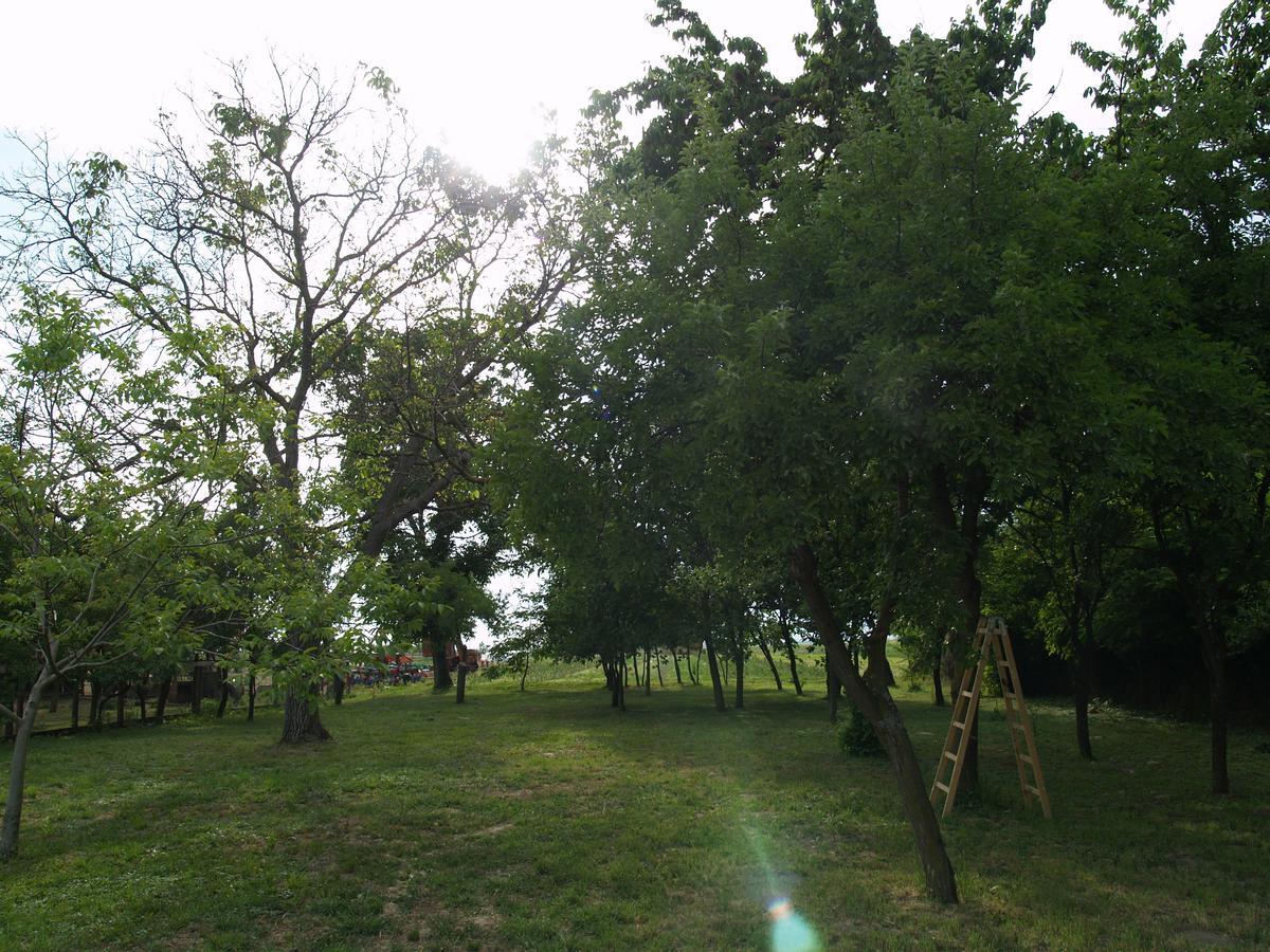 Pannonia Terranova Otel Vardarac Dış mekan fotoğraf