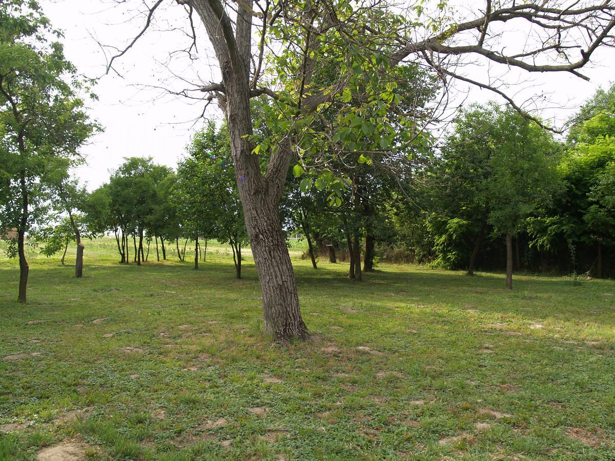 Pannonia Terranova Otel Vardarac Dış mekan fotoğraf